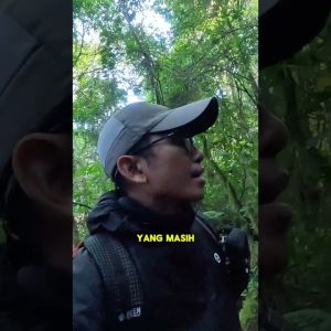 Mendaki weekdays adalah kunci  #pendaki #hikesafe #pendakigunung #hikingindonesia #jaligoeshiking