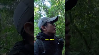 Mendaki weekdays adalah kunci  #pendaki #hikesafe #pendakigunung #hikingindonesia #jaligoeshiking