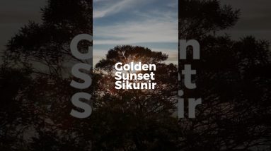 Sikunir Sunset #pendaki #hikesafe #jaligoeshiking