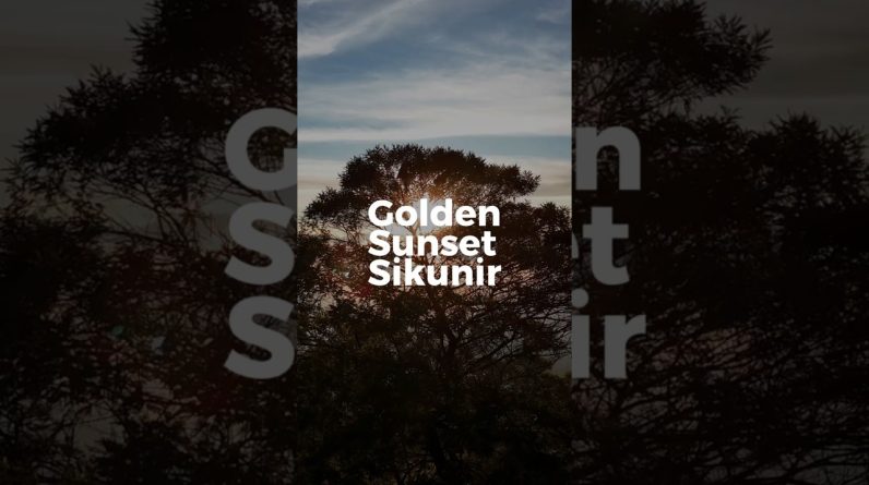 Sikunir Sunset #pendaki #hikesafe #jaligoeshiking