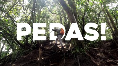Jalur Pedas bikin Kaki Panas: Tektok Gunung Sagara via Sagara | VIRTUAL HIKING 14 Jalur Pedas bikin Kaki Panas: Tektok Gunung Sagara via Sagara | VIRTUAL HIKING