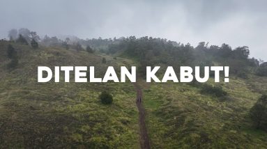 Road Trip #2 Prau via Dwarawati: Puncak Ditelan Kabut! 10 Road Trip #2 Prau via Dwarawati: Puncak Ditelan Kabut!